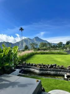 a garden with a pond and a palm tree and mountains at La Varuna Kintamani and Hot Spring in Kintamani