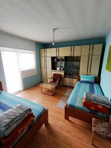 a bedroom with two beds and a living room at Kuca Denic in Svrljig
