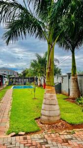 a garden with two palm trees and a swimming pool at Clifford's Rufaro Hotel, Conference & Spa in Burgersfort