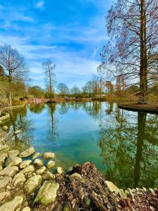 a river in a park with rocks in the water at Bushy Hill Drive in Guildford in Guildford