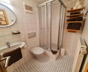 a bathroom with a shower and a toilet and a sink at Gästehaus Holzer Kreuz - Ferienwohnung "Mohn" in Fröhnd