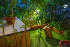 a garden with potted plants on the ground at Tsitsipas Apartment in Alexandroupoli