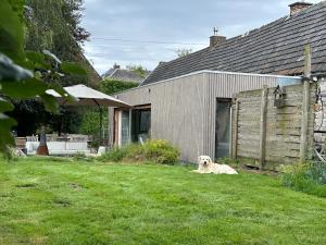 ein Hund, der im Gras neben einem Haus liegt in der Unterkunft Envoz-Zen in Héron