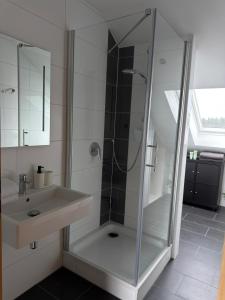 ein Badezimmer mit Dusche und Waschbecken in der Unterkunft Ferienwohnung Eich in Kelberg + 6 Fotos