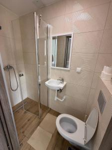 a bathroom with a shower and a toilet and a sink at Kwatery Smroków in Smroków