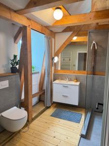 a bathroom with a toilet and a sink at FOUR ROOMS Carlsbad Authentic in Karlovy Vary +77 photos
