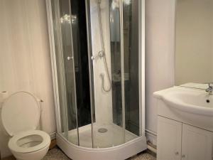 a bathroom with a shower with a toilet and a sink at Studio double dans l'hypercentre de Limoges in Limoges