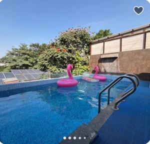 a swimming pool with pink inflatable flamingos in the water at Sunleaf Palace in Pune