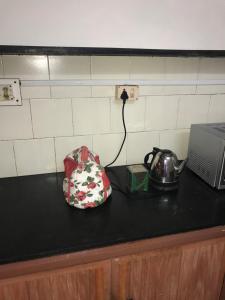 Gallery image of GG Homes - Apollo/Shankara Hospital in Chennai