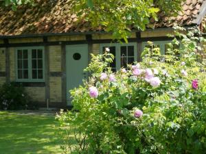 a house with a green door and some flowers at Rosenhaus - Lütt Arnis in Arnis