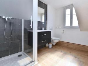 a bathroom with a shower and a toilet at Au pays des bretzels in Horbourg +31 photos