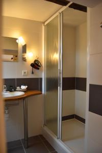 a bathroom with a shower and a sink at Hôtel-Restaurant Au Moulin d'Alexandre in Sainte-Eulalie-dʼOlt +53 photos