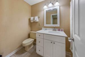 a bathroom with a toilet and a sink and a mirror at 2 Bedroom Condo on Lake with Jacuzzi in New Bern