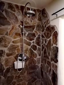 a shower in a room with a stone wall at Peter 7 Altstadt - Dachstudio & Peter 7 Altstadt - Erdgeschoss mit Gartenblick in Görlitz