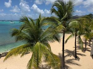 two palm trees on a beach near the ocean at Residence Anse des sables in Marigot