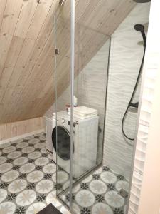 a bathroom with a shower and a toilet in a room at Loft Apartment Self Check-in in Mažeikiai