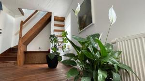 a living room with plants and a staircase at Maro Appartments in Ieper