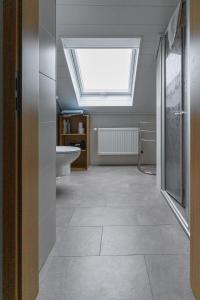 a bathroom with a skylight and a toilet at Ferienwohnung Goldhorn in Rödental