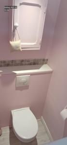 a bathroom with a white toilet and a mirror at chambres randonneurs in Plestin-les-Grèves