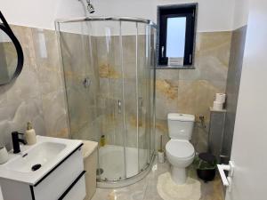a bathroom with a shower and a toilet and a sink at visitor's house 5 in Rădăuţi