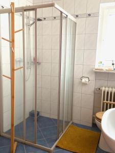 a shower with a glass door in a bathroom at Voll ausgestattete, helle Ferienwohnung auf 80 qm in Wutöschingen +22 photos