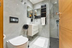 a bathroom with a toilet and a shower at Vila Pino Silvestre in Zlatibor +82 photos