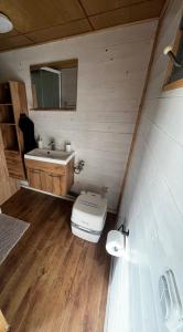 a bathroom with a toilet and a sink at Mája u lomu in Stachlovice