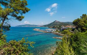 a view of a large body of water with trees at Oltremare - casa vacanze Agropoli appartamento rooms in Agropoli
