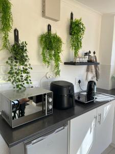 a kitchen with a microwave on a counter with plants at Windpomp Guesthouse in Beaufort West