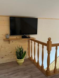 a flat screen tv on a wall with a plant at Nad Stawami - studio in Białowieża