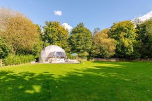 a large greenhouse in a field of green grass at 53 North in Bodham