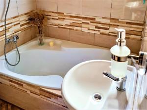 a bathroom with a sink and a bath tub at Chata Sandra in Lipno nad Vltavou +46 photos