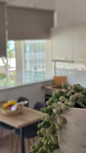 a green plant in a vase in a room at Galazio suites 2 Seaside in Salamina