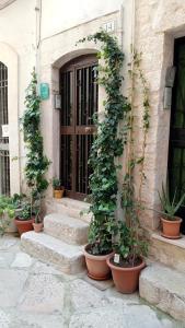 a group of potted plants on the steps of a building at La Chiocciola in Trani +16 photos