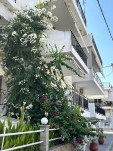 a flowering tree in front of a building at Sofies Studio in Nea Peramos