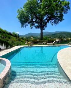 a swimming pool with a tree in the background at Azzurro di Vallepietra in Camporotondo di Fiastrone