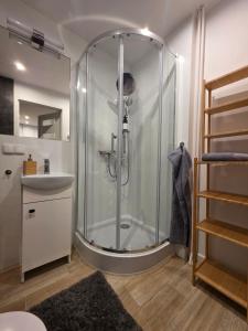 a bathroom with a shower and a sink at Perełka Południa in Głuchołazy