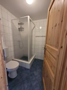 a bathroom with a toilet and a shower with a glass door at Lioba in Ueckermünde