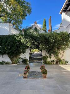a building with two potted plants in a courtyard at casa rural excentrico alcala in Vélez de Benaudalla