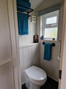 a small bathroom with a toilet and a window at Bramblewick House Glamping in Longford