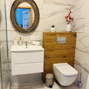a bathroom with a sink and a toilet and a mirror at Lotus Apartments Natura parking balcony in Ostrołęka
