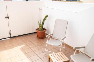 a room with two chairs and a potted plant at Yesenia Vv Airport in El Matorral