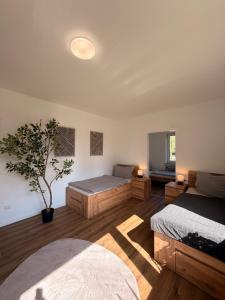 a bedroom with two beds and a potted tree in it at Artland Quartier Quakenbrück in Quakenbrück