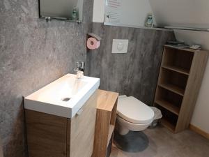 a bathroom with a sink and a toilet at L'ancienne forge 3 chambres d'hôtes à l'étage la forge , l'enclume et le marteau in Louvetot +33 photos
