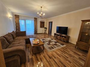 a living room with a couch and a television at Dante Residence in Alba Iulia