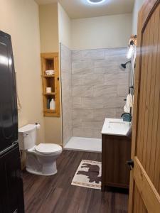 a bathroom with a toilet and a sink and a shower at Rustic Bay View Cabins- Lodge in Homer +5 photos