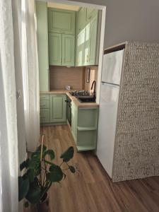 a kitchen with green cabinets and a white refrigerator at Zion Central Apartment in Satu Mare