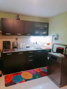 a kitchen with black cabinets and a kitchen rug at Villa Kalin in Natsovtsi
