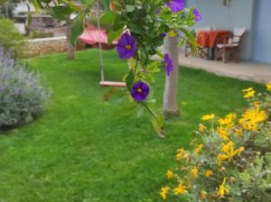 a garden with purple flowers and a swing at ''Shinohori'' Olive-Tree Apartment in Argos