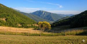 a field with a tree and mountains in the background at APPARTAMENTI Vista del Mondo in Spoleto